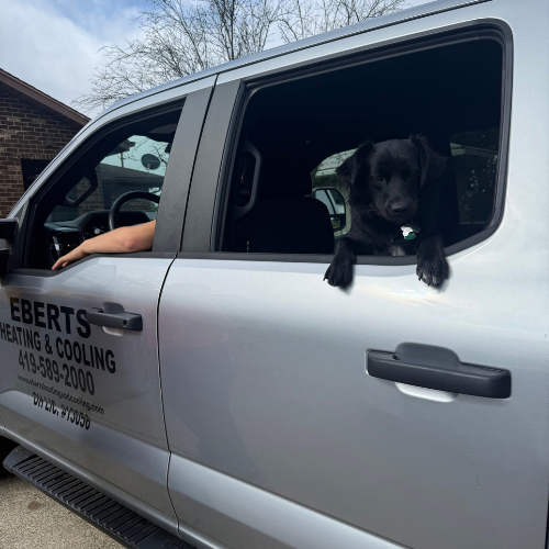 man, office, HVAC, heating and cooling, HVAC repairs, HVAC installation, furnace installation, furnace repair, AC repair, AC installation, geothermal installation, heat pump installation, heat pump repair